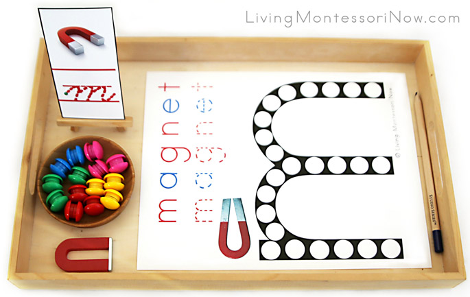 Magnet Do-a-Dot Letter M Tray with Power Magnets