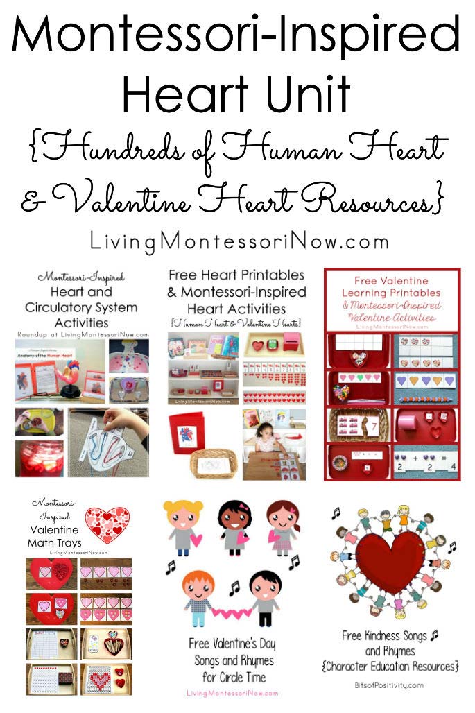 Montessori-Inspired Heart Unit {Hundreds of Human Heart and Valentine Heart Resources}