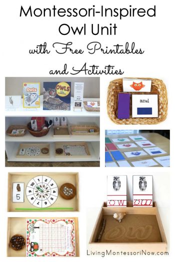 Montessori-Inspired Owl Unit with Free Printables and Activities