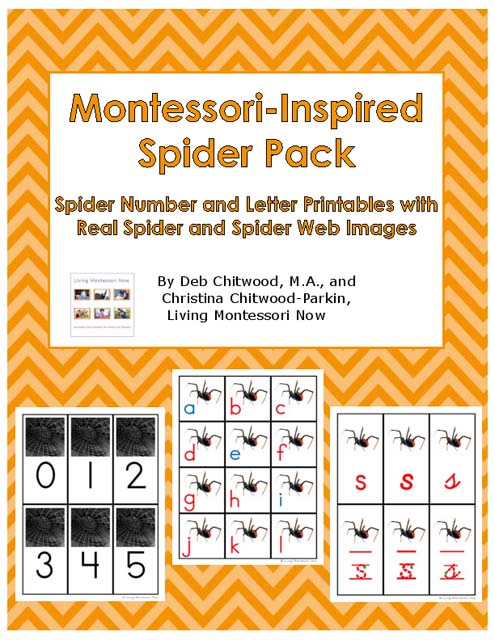 montessori-inspired-spider-pack