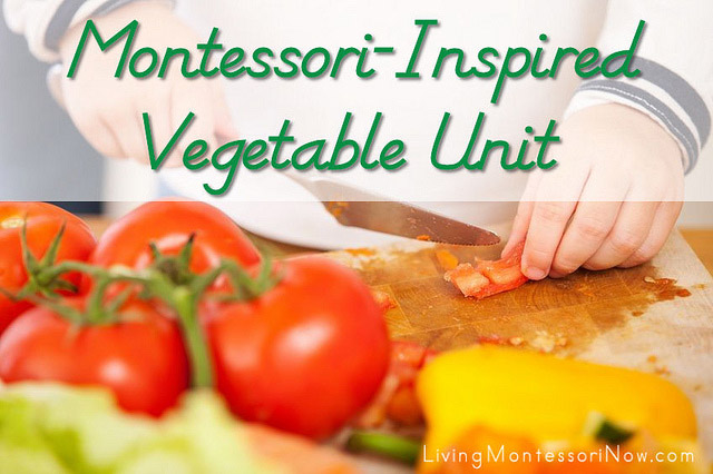 Montessori-Inspired Vegetable Unit