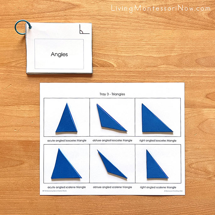 Montessori Print Shop Triangle Tray Control Chart (DIY Geometric Cabinet Tray) with Angles Book