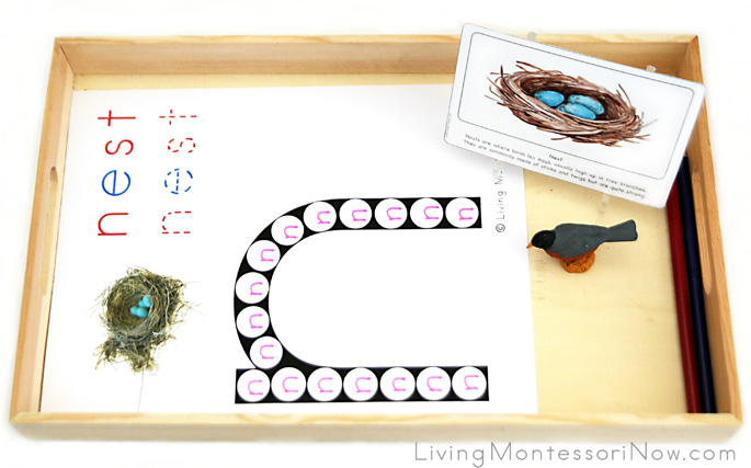 Nest Do-a-Dot Letter N Tray for Tracing N's within an N