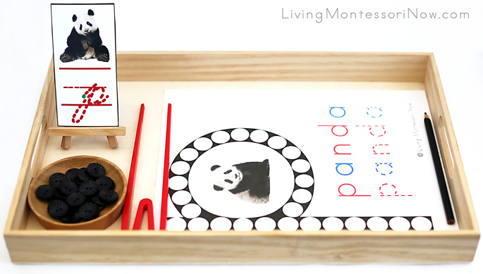 Panda Do-a-Dot Letter P Tray with Button Transfer Using Quick Sticks