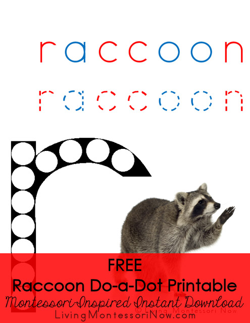 FREE Raccoon Do-a-Dot Printable (Montessori-Inspired Instant Download)