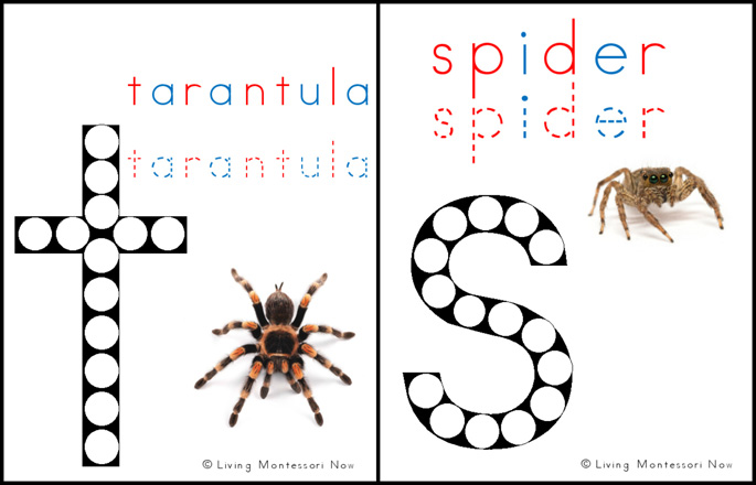 Free Tarantula and Spider Do-a-Dot Printables