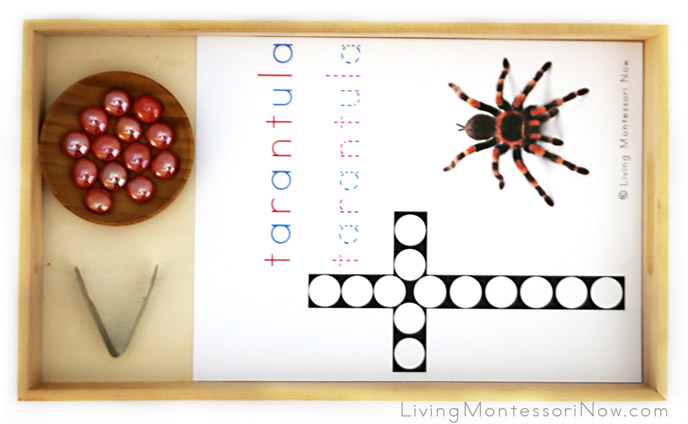Tarantula Do-a-Dot Tray with Glass Gems and Strawberry Huller