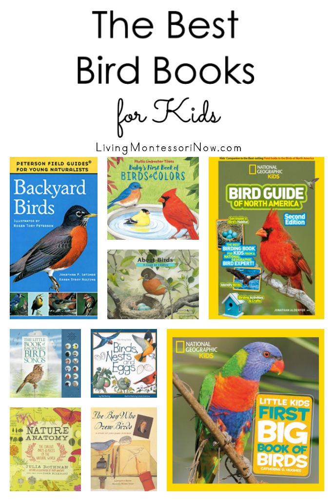 The Best Bird Books for Kids