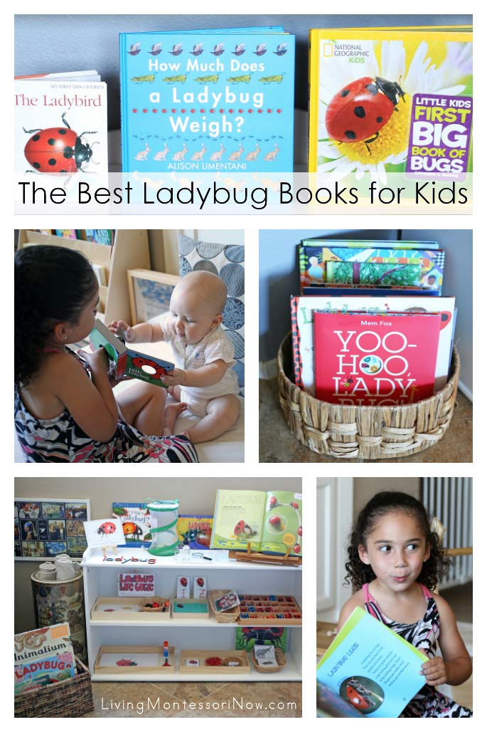 The Best Ladybug Books for Kids