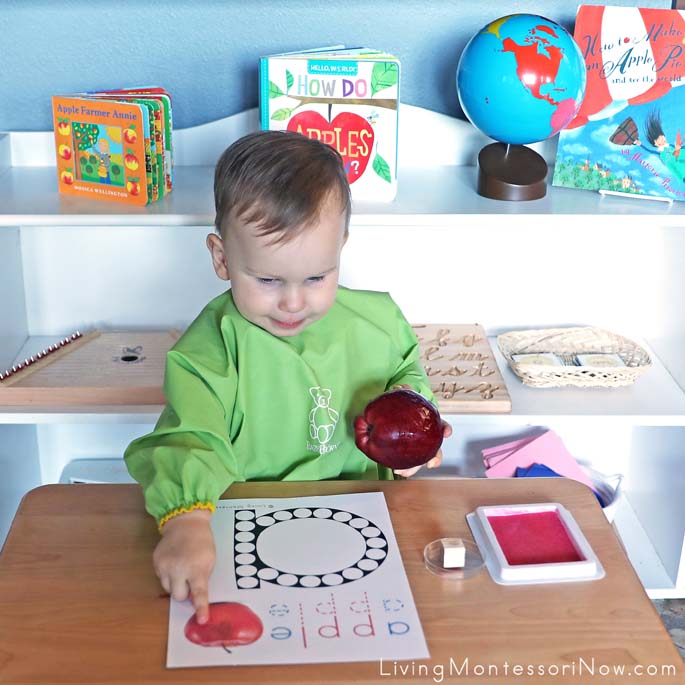 Toddler Vocabulary Work Before Apple Rubber Stamping Work