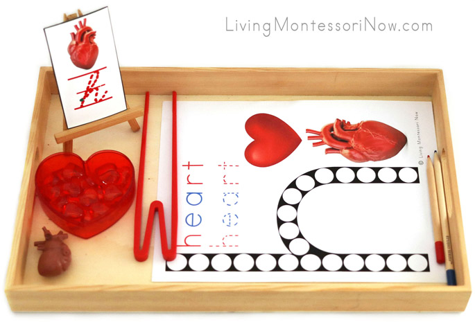 Tray with H for Heart Do-a-Dot Printable and Heart Transfer