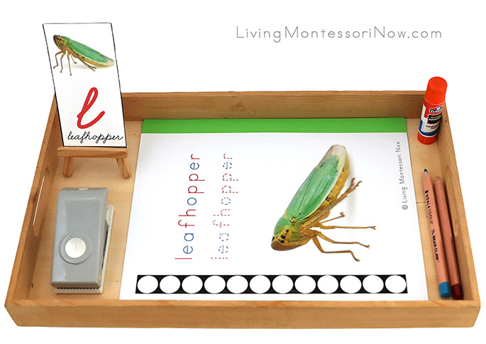 Tray with L for Leafhopper Do-a-Dot Printable and Circle Punch