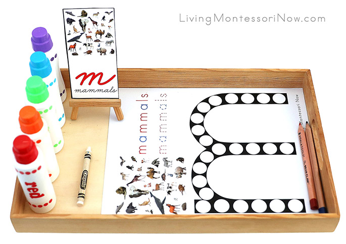 Tray with Mammals Do-a-Dot Printable and Magic Letter Work
