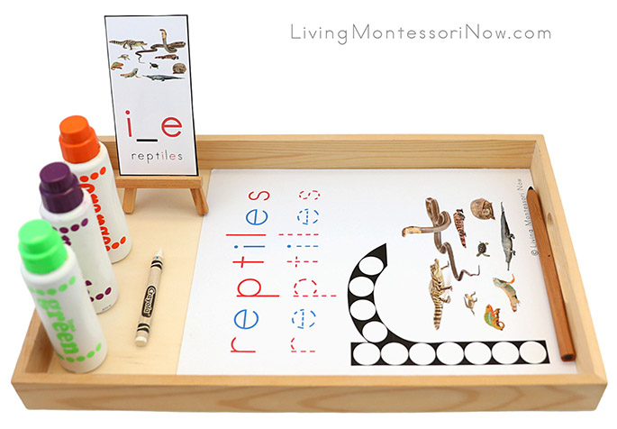 Tray with R for Reptiles Do-a-Dot Printable and Magic Letter Work