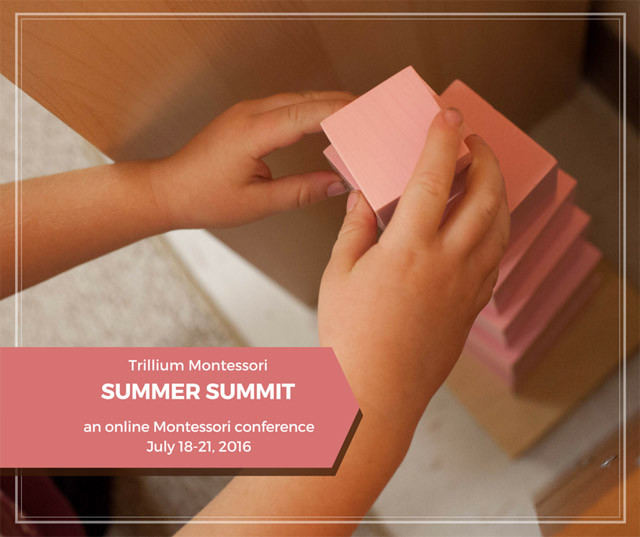Trillium Montessori Summer Summit 2016