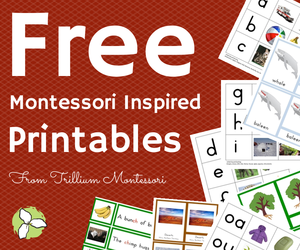 Trillium Montessori Free Montessori Inspired Printables